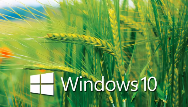 Windows10查看驅(qū)動(dòng)程序文件步驟介紹