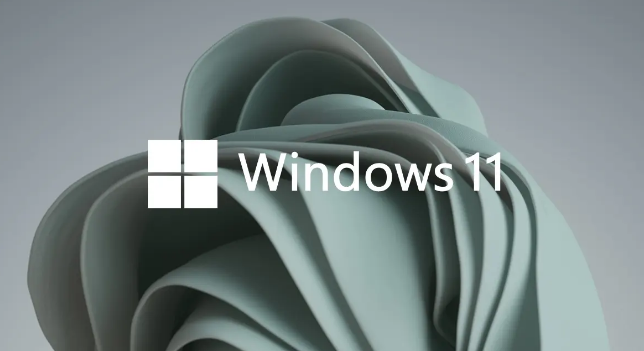 Windows11打開任務(wù)管理器方法介紹