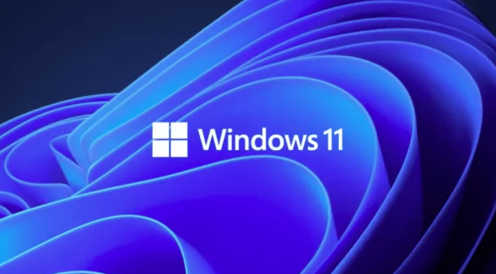 Windows11限制帶寬流量方法介紹