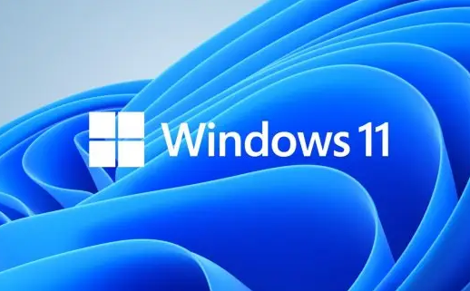 Win11系統(tǒng)dns異常無法連接至網(wǎng)絡(luò)如何處理