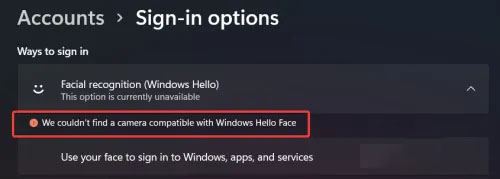 怎么開(kāi)啟Win11面部識(shí)別功能