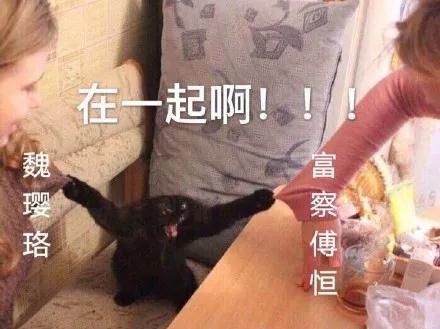 抖音延禧攻略爾晴表情包【無(wú)水印】