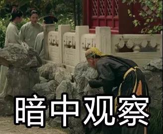 抖音延禧攻略爾晴表情包【無(wú)水印】