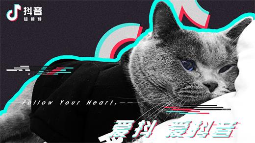抖音木小雅幻夢在哪里聽？木小雅幻夢歌曲分享