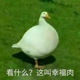 【抖音網(wǎng)紅比心鴨子表情包】比心鴨子高清無(wú)水印圖片分享
