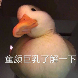 【抖音網(wǎng)紅比心鴨子表情包】比心鴨子高清無(wú)水印圖片分享