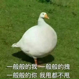 【抖音網(wǎng)紅比心鴨子表情包】比心鴨子高清無(wú)水印圖片分享