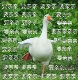 【抖音網(wǎng)紅比心鴨子表情包】比心鴨子高清無(wú)水印圖片分享