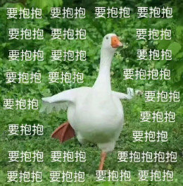 【抖音網(wǎng)紅比心鴨子表情包】比心鴨子高清無(wú)水印圖片分享
