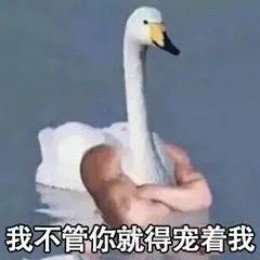 【抖音網(wǎng)紅比心鴨子表情包】比心鴨子高清無(wú)水印圖片分享