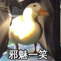 【抖音網(wǎng)紅比心鴨子表情包】比心鴨子高清無(wú)水印圖片分享