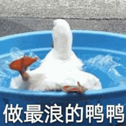【抖音網(wǎng)紅比心鴨子表情包】比心鴨子高清無(wú)水印圖片分享