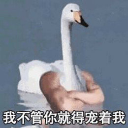 【抖音網(wǎng)紅比心鴨子表情包】比心鴨子高清無(wú)水印圖片分享