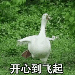 【抖音網(wǎng)紅比心鴨子表情包】比心鴨子高清無(wú)水印圖片分享