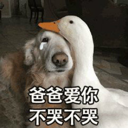 【抖音網(wǎng)紅比心鴨子表情包】比心鴨子高清無(wú)水印圖片分享