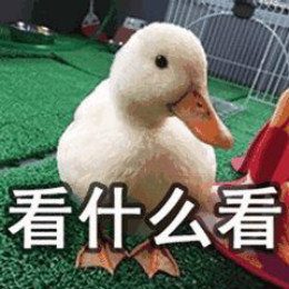 【抖音網(wǎng)紅比心鴨子表情包】比心鴨子高清無(wú)水印圖片分享