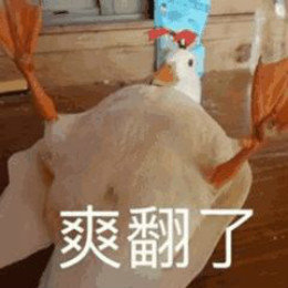 【抖音網(wǎng)紅比心鴨子表情包】比心鴨子高清無(wú)水印圖片分享