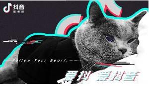 抖音六眼飛魚出自哪里？抖音六眼飛魚來源出處介紹