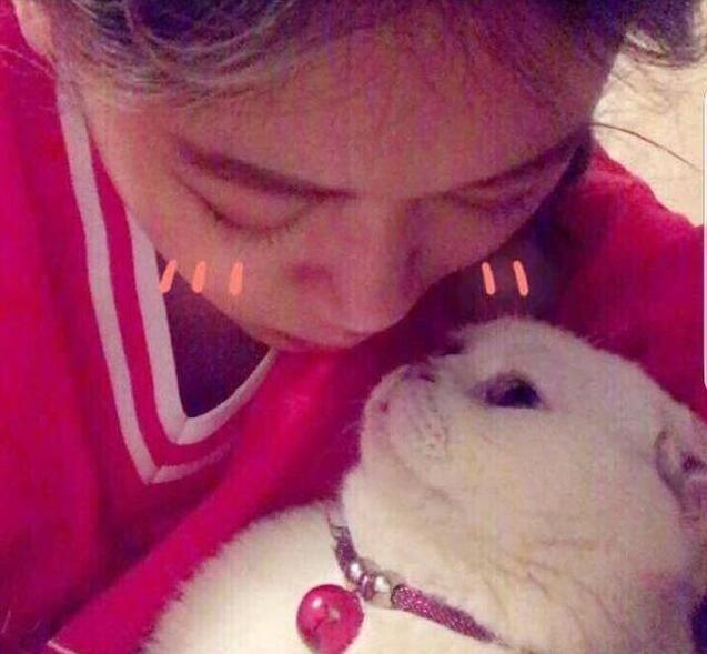 抖音二豆走丟了是真的嗎 二豆走丟來(lái)是怎么回事
