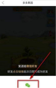 多多果園要怎么添加好友?多多果園添加微信好友教程分享
