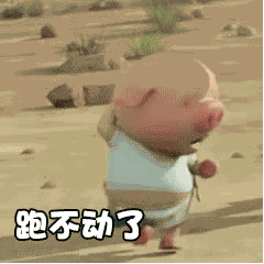 微信小豬跑步動態(tài)圖哪里找 一直在奔跑的小豬GIF圖分享