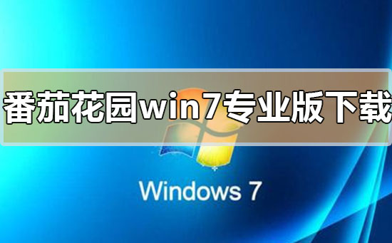 番茄花園win7專業(yè)版系統(tǒng)在哪下載