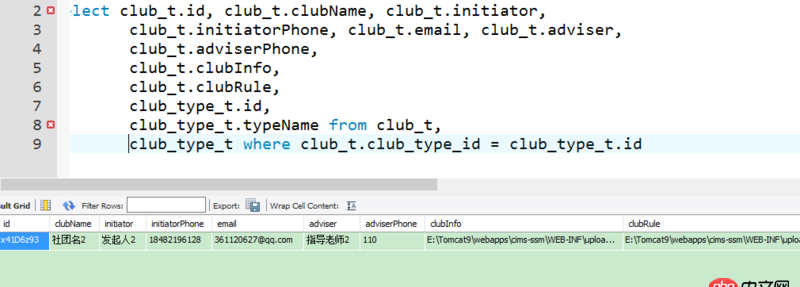 java - Mybatis查詢數(shù)據(jù)庫時出現(xiàn)查詢getInt(）的錯誤