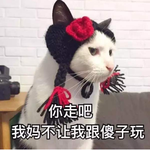 抖音你走吧我媽不讓我跟傻子玩 貓咪搞怪高清表情包分享