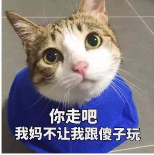 抖音你走吧我媽不讓我跟傻子玩 貓咪搞怪高清表情包分享