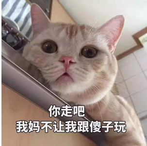 抖音你走吧我媽不讓我跟傻子玩 貓咪搞怪高清表情包分享