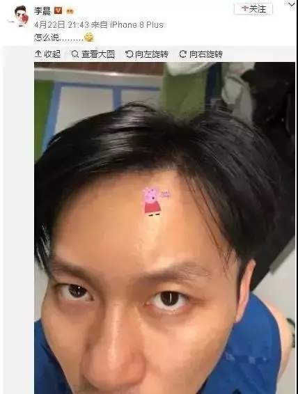 抖音小豬佩奇慘遭封殺？小豬佩奇為什么被稱為社會人