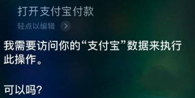 支付寶怎么使用語(yǔ)音支付？支付寶語(yǔ)音支付使用教程