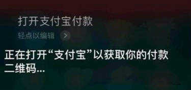 支付寶怎么使用語(yǔ)音支付？支付寶語(yǔ)音支付使用教程
