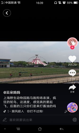 抖音騎鴕鳥(niǎo)賽跑背景音樂(lè)是什么？抖音哈哈哈哈你打不過(guò)我吧歌曲介紹