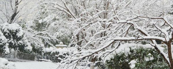 初雪發(fā)朋友圈句子 冬季第一場(chǎng)雪朋友圈文案
