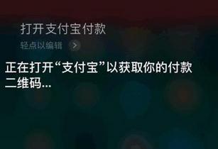 iPhone支付寶語音付款是真的嗎？iPhone支付寶怎么設置語音付款？
