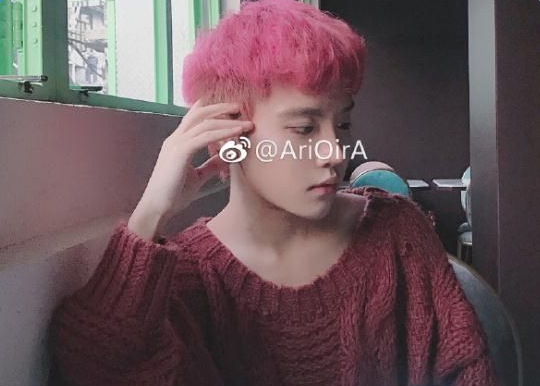 抖音95后小仙男是什么梗_95后小仙男是誰(shuí)個(gè)人資料