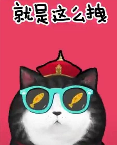 抖音我們喵星人是什么歌？抖音我們喵星人就是辣么拽歌詞分享