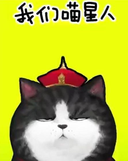 抖音我們喵星人是什么歌？抖音我們喵星人就是辣么拽歌詞分享