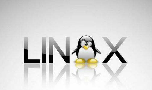 Linux是什么？它是哪個國家開發的