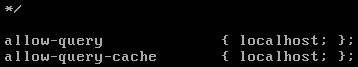 Linux(CentOS)如何安裝DNS服務(wù)器？