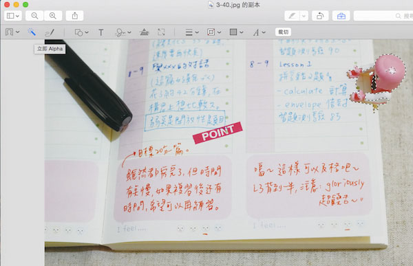 Mac OS的瀏覽功能有什么用？Mac預覽功能中的一些實用技巧