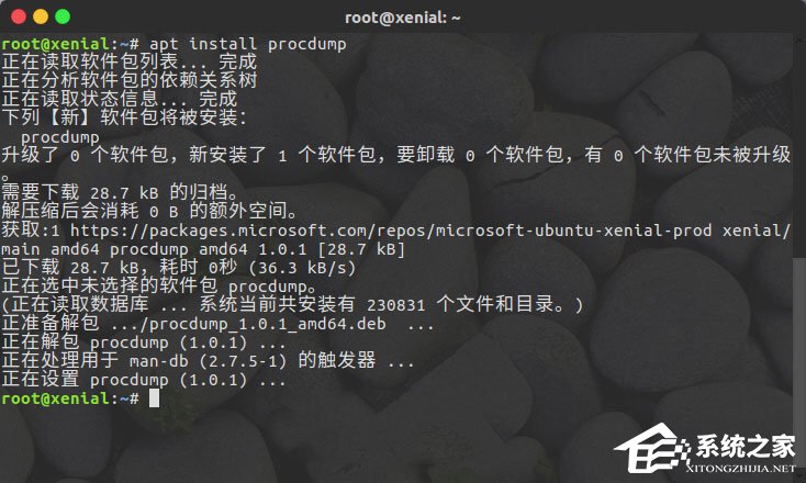 Linux系統如何安裝使用ProcDump for Linux？