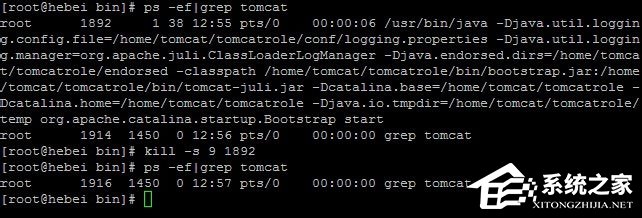 Linux系統(tǒng)如何查看和結(jié)束進(jìn)程？