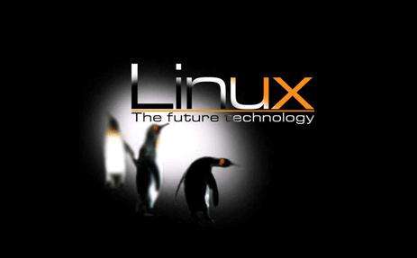 linux的虛擬內(nèi)存機制