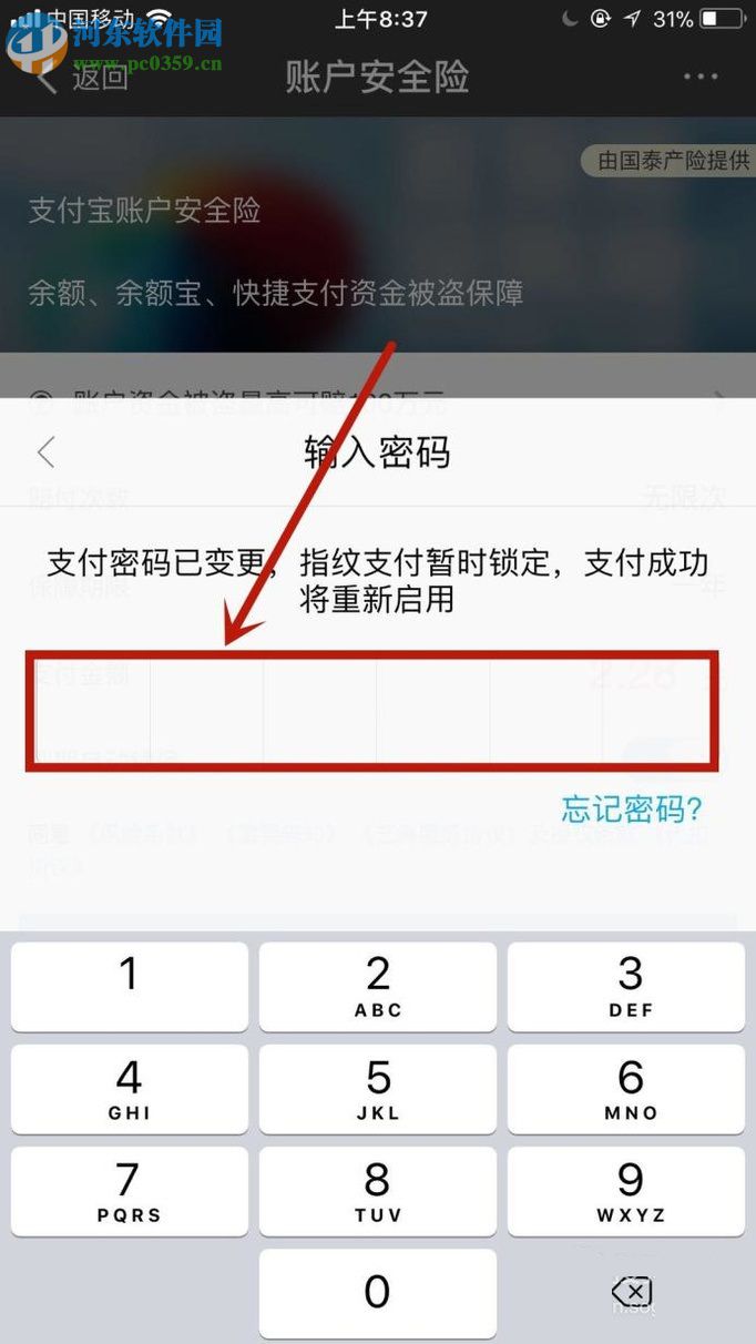 手機(jī)支付寶購(gòu)買賬戶安全險(xiǎn)的方法