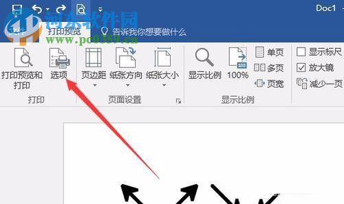 word/Excel文檔設(shè)置只打印文字不打印圖片的方法