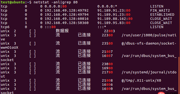 nginx這樣是在運行嗎？
