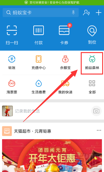 支付寶種樹(shù)怎么收集能量？支付寶種樹(shù)收集能量方法