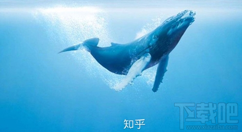 知乎知卡怎么樣？知乎知卡資費介紹